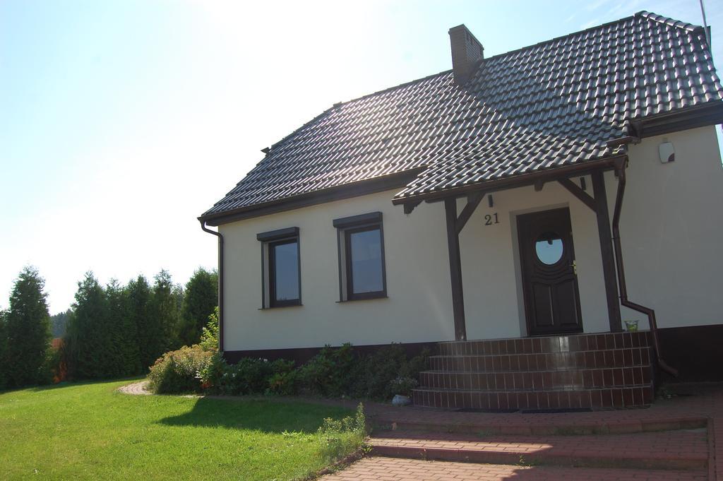 Dom Relaks & Wypoczynek Villa Skoki Luaran gambar