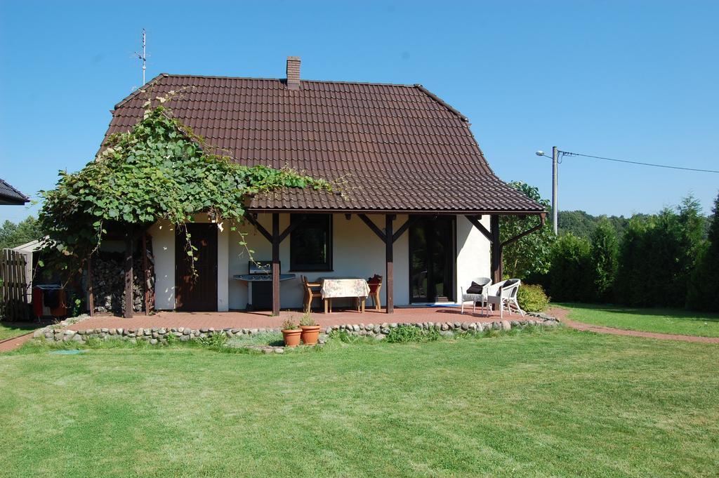 Dom Relaks & Wypoczynek Villa Skoki Luaran gambar